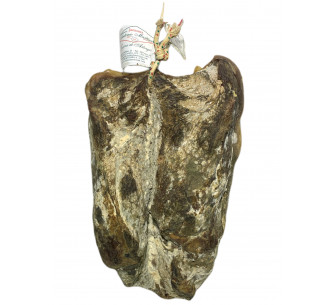 CECINA DE BABILLA AHUMADA 2