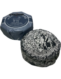 QUESO DE CABRA CON CENIZA