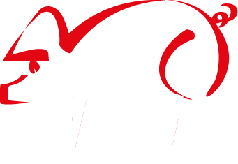 EMBUTIDOS COLADILLA